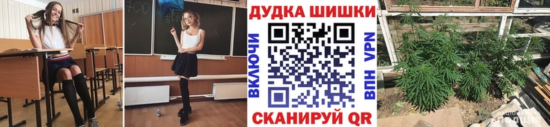Конопля сатива ссылка на мегу ссылки Мантурово